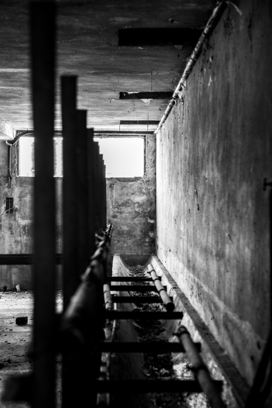 2014 02 06 Abattoir Vesoul IMG 8627